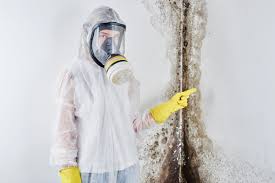 Environmental Consulting for Mold Prevention in Lake Camelot, IL